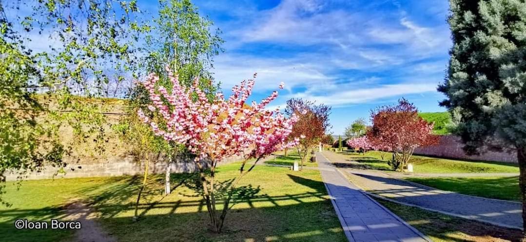 Boulevard Flat Алба-Юлія Екстер'єр фото